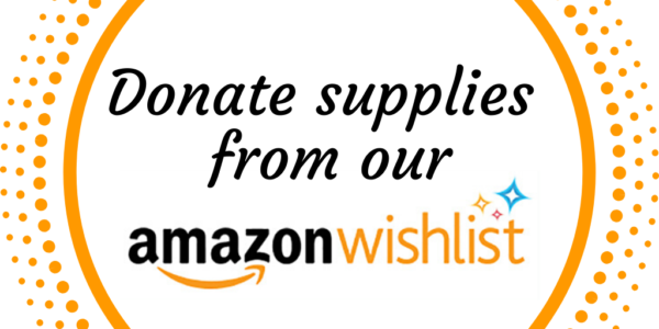 amazon-wishlist-donate-graphic-1605081266